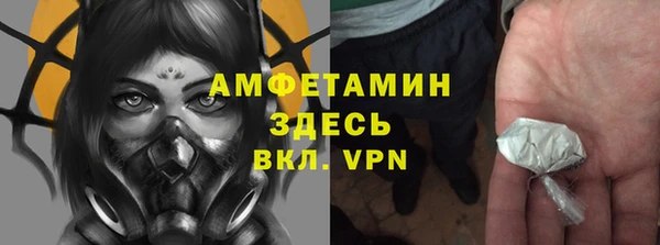 индика Алексеевка